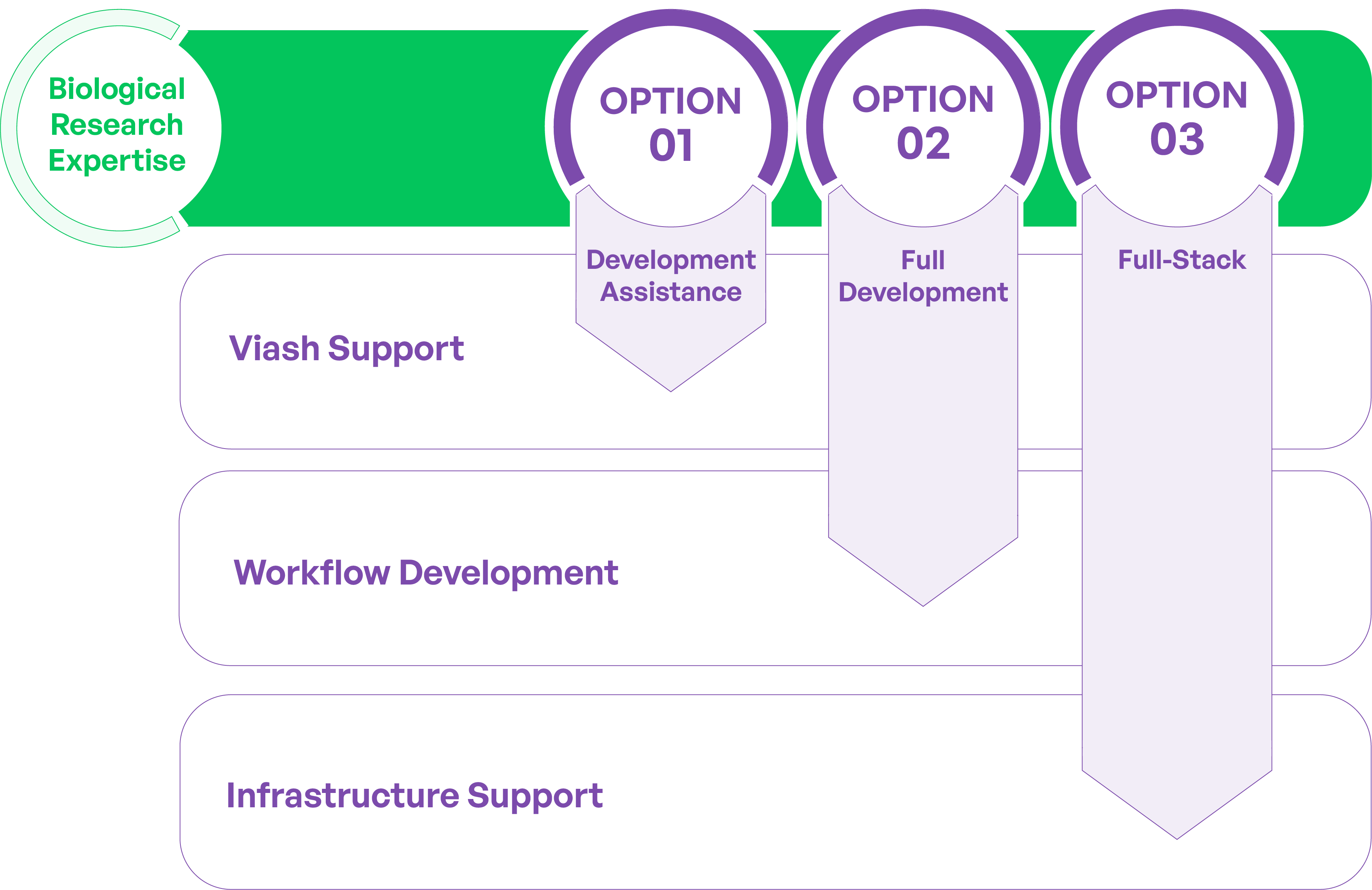 Viash Pro Support Options Table